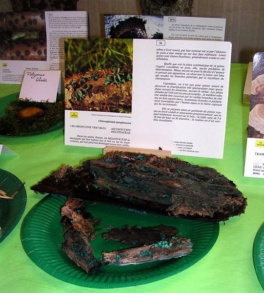 2008 10 Expo Bergerie Rambouillet 58